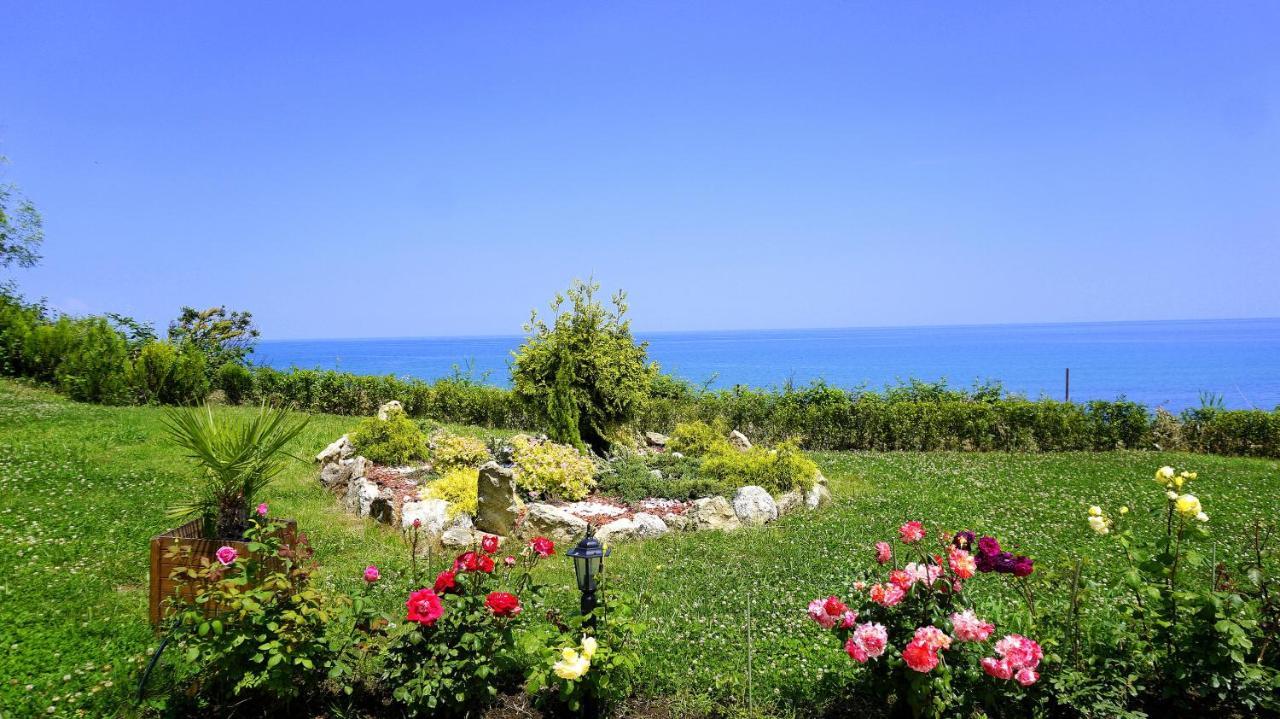 Бяла Клиф Форест - Byala Cliff Forest Dış mekan fotoğraf