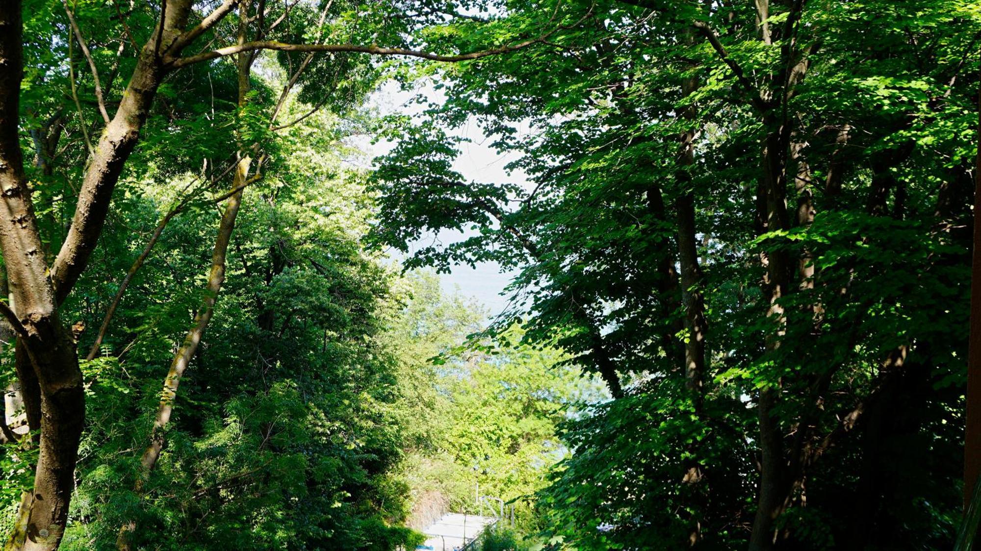 Бяла Клиф Форест - Byala Cliff Forest Dış mekan fotoğraf